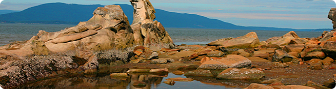 IT Support - Laramie, Wyoming IT Support - Laramie, Wyoming